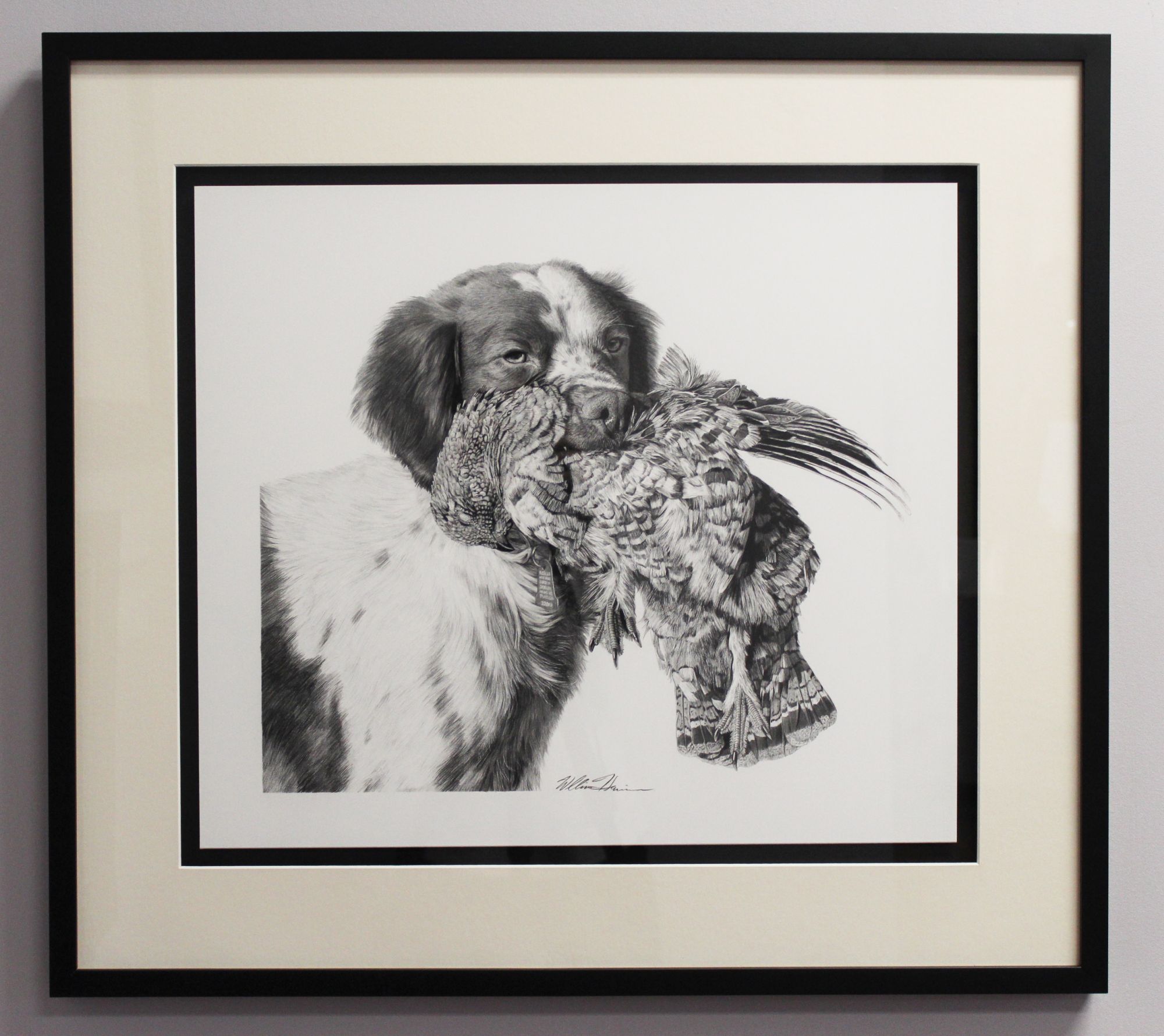 Colbert Custom Framing